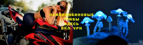 дмт Бронницы