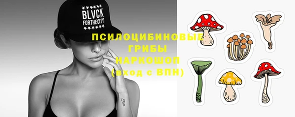 дмт Бронницы