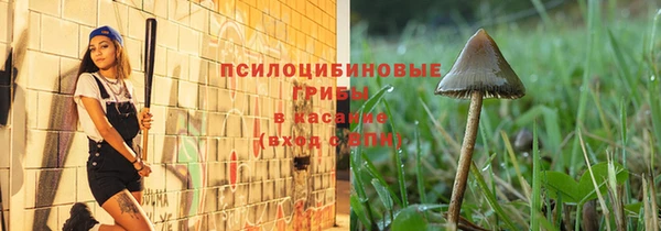 дмт Бронницы